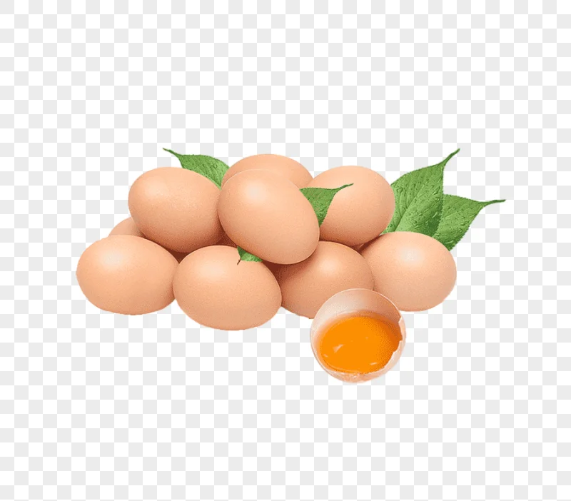 png clipart chicken egg chicken egg nutrition egg food chicken