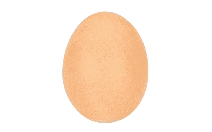 png clipart chicken egg chicken egg sphere golden egg chicken sphere
