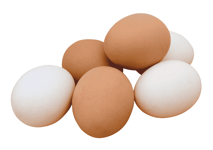 png clipart chicken egg chicken food animals