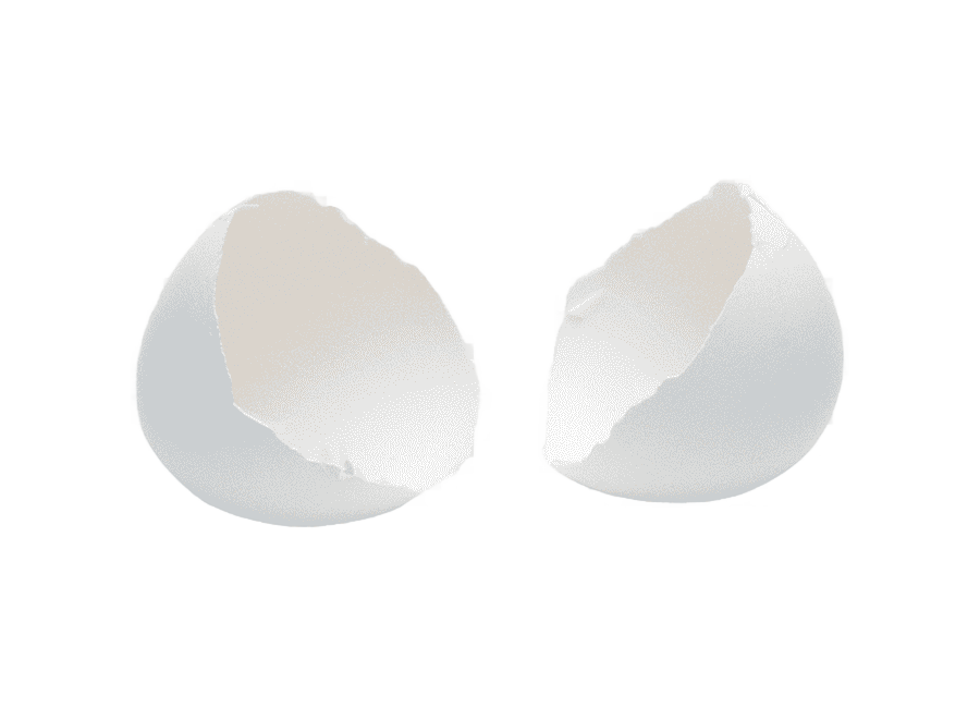png clipart chicken eggshell eggshell chicken egg material