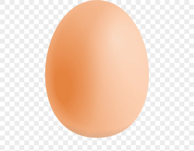 png clipart chicken fried egg omelette yolk eggs collaction food orange