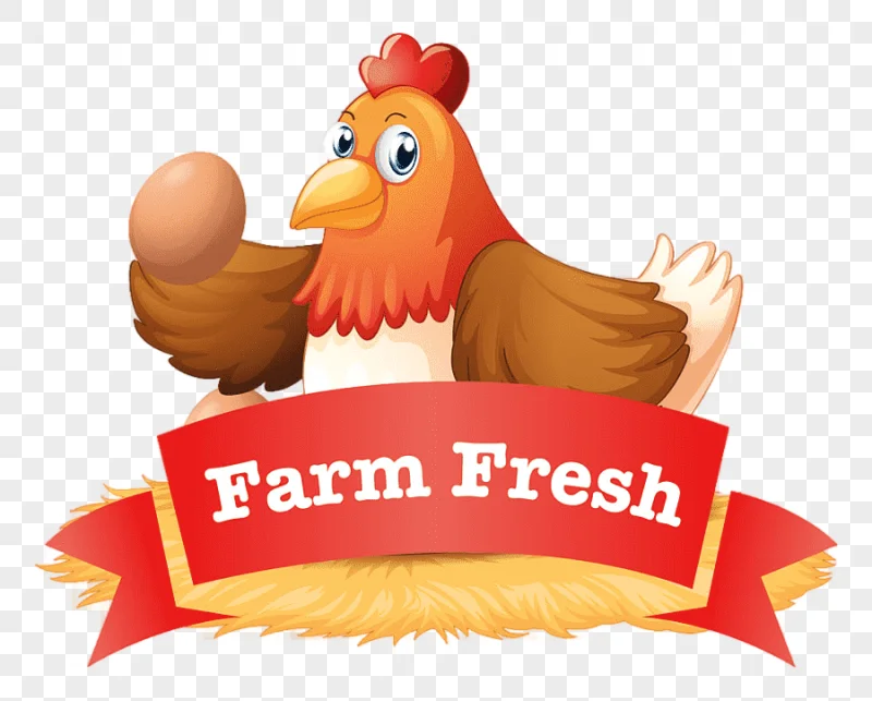 png clipart chicken fried egg poultry farming chicken food painted
