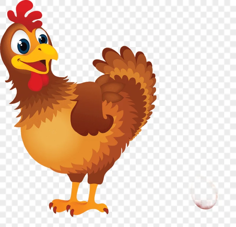 png clipart chicken hen cartoon egg