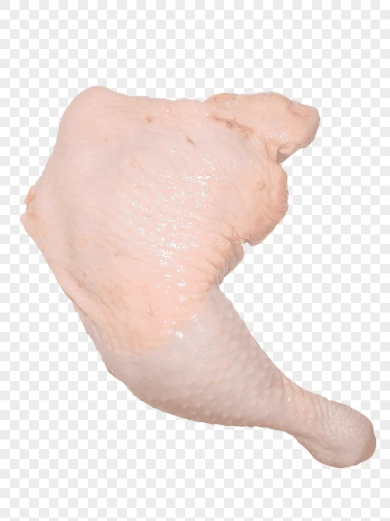 png clipart chicken leg buffalo wing chicken meat chicken leg animals seafood