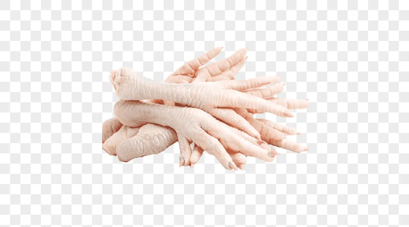 png clipart chicken leg organic food chicken as food chicken and mushroom pie chicken food