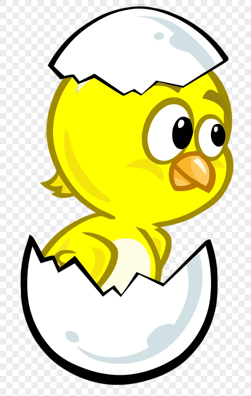 png clipart chicken pintinho amarelinho galinha pintadinha egg chicken animals chicken