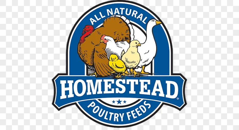 png clipart chicken poultry feed poultry farming animal feed chicken food animals