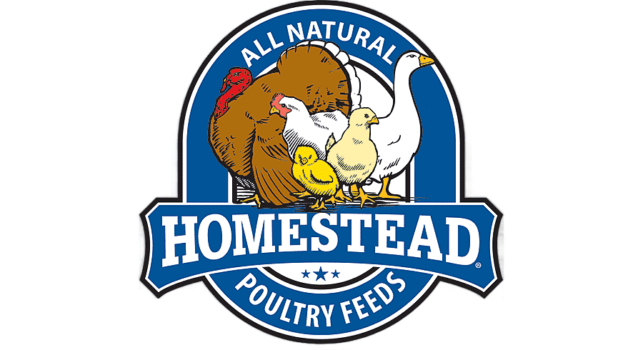 png clipart chicken poultry feed poultry farming animal feed chicken food animals