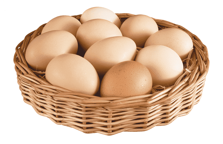 png clipart chicken quail eggs quail eggs meat chicken food animals