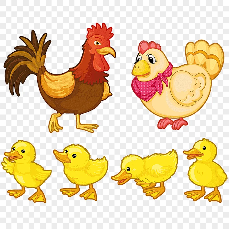 png clipart chicken rooster animation foot cartoon child animals