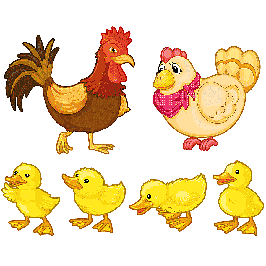 png clipart chicken rooster animation foot cartoon child animals