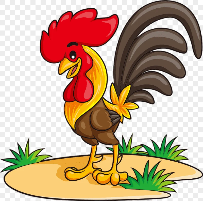 png clipart chicken rooster cartoon illustration cartoon chicken cartoon character animals