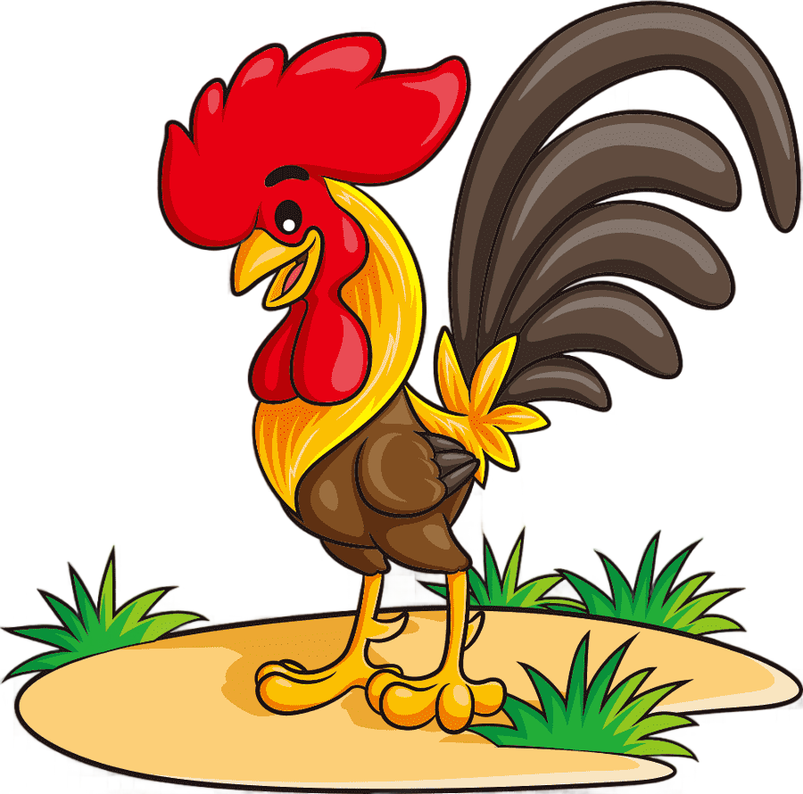 png clipart chicken rooster cartoon illustration cartoon chicken cartoon character animals