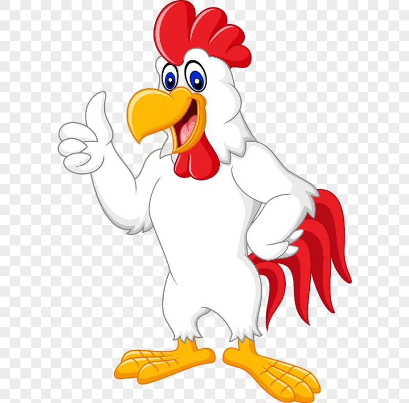 png clipart chicken rooster cartoon illustration white cock white animals