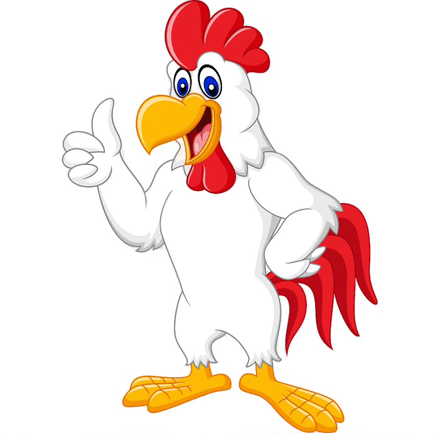 png clipart chicken rooster cartoon illustration white cock white animals