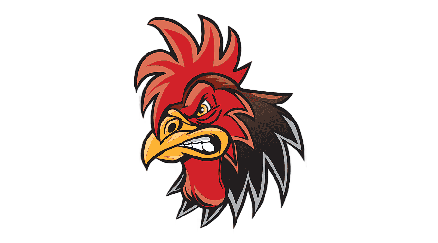 png clipart chicken rooster drawing chicken animals galliformes