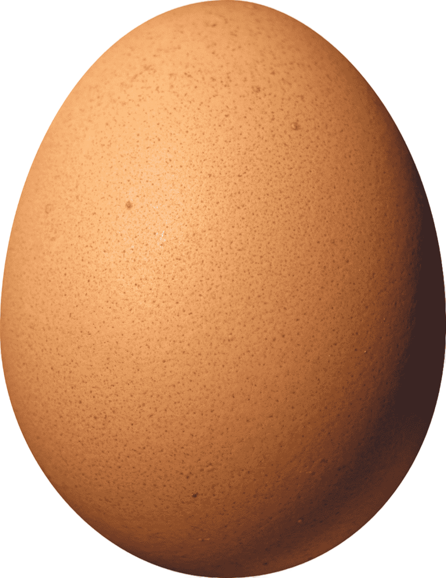 png clipart chicken scrambled eggs hen boiled egg chicken food animals