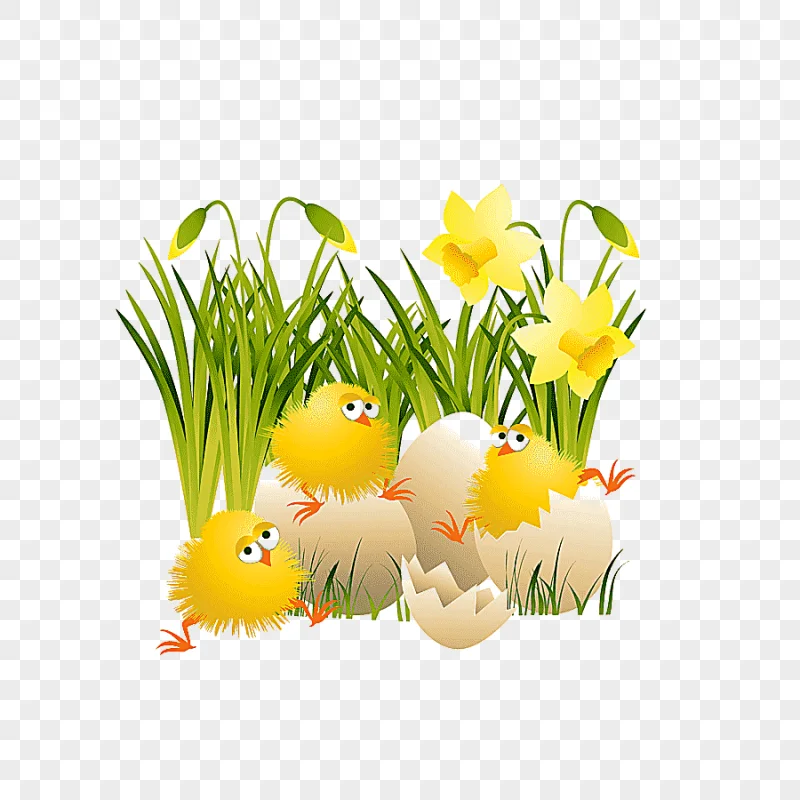 png clipart chicks inside egg shell on green grass field illustration chicken easter large