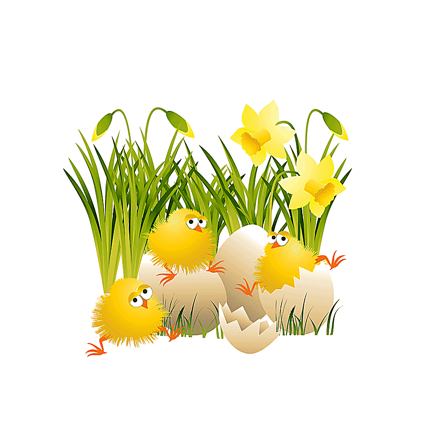 png clipart chicks inside egg shell on green grass field illustration chicken easter large