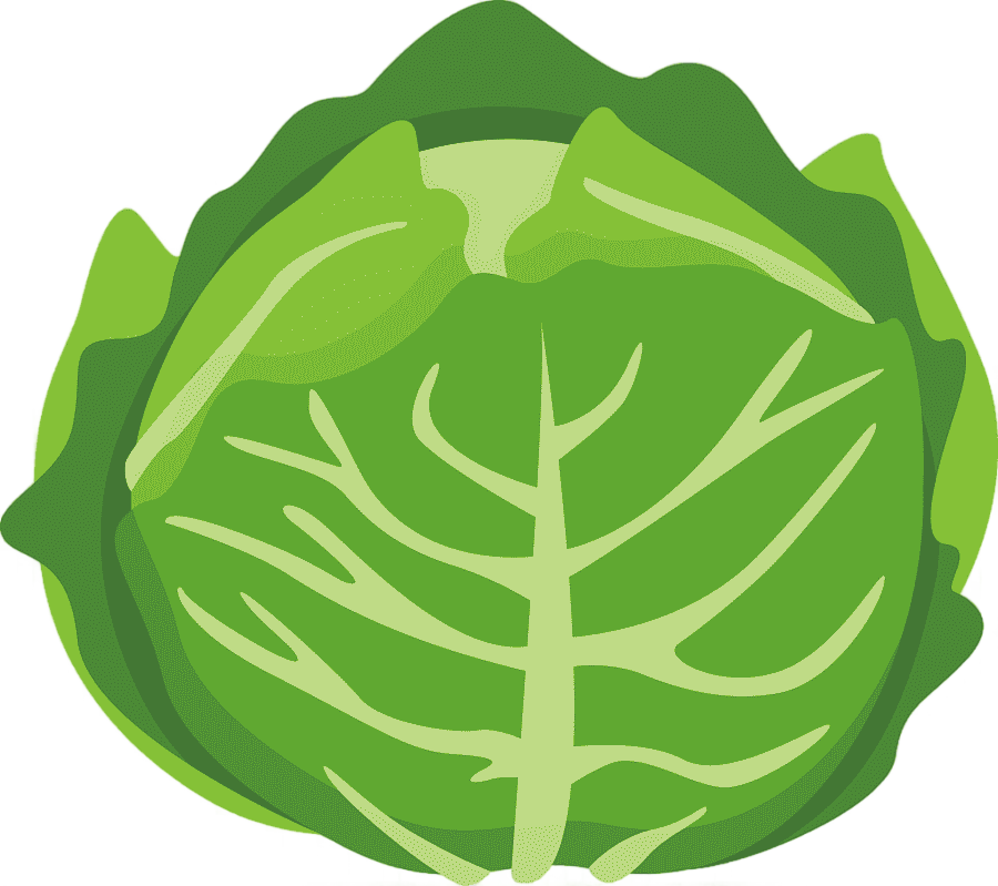 png clipart chinese cabbage vegetable cartoon cartoon cabbage cartoon character leaf vegetable
