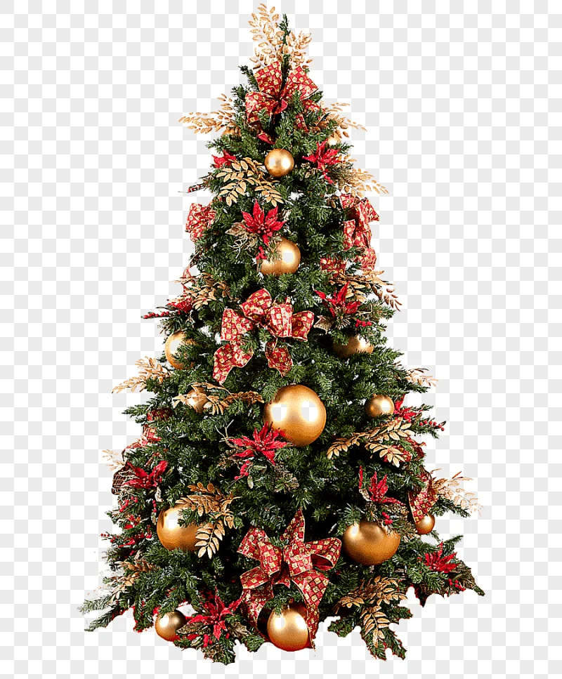 png clipart christmas tree s christmas tree pictures christmas elements