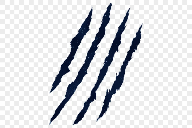 png clipart claw claw miscellaneous claw