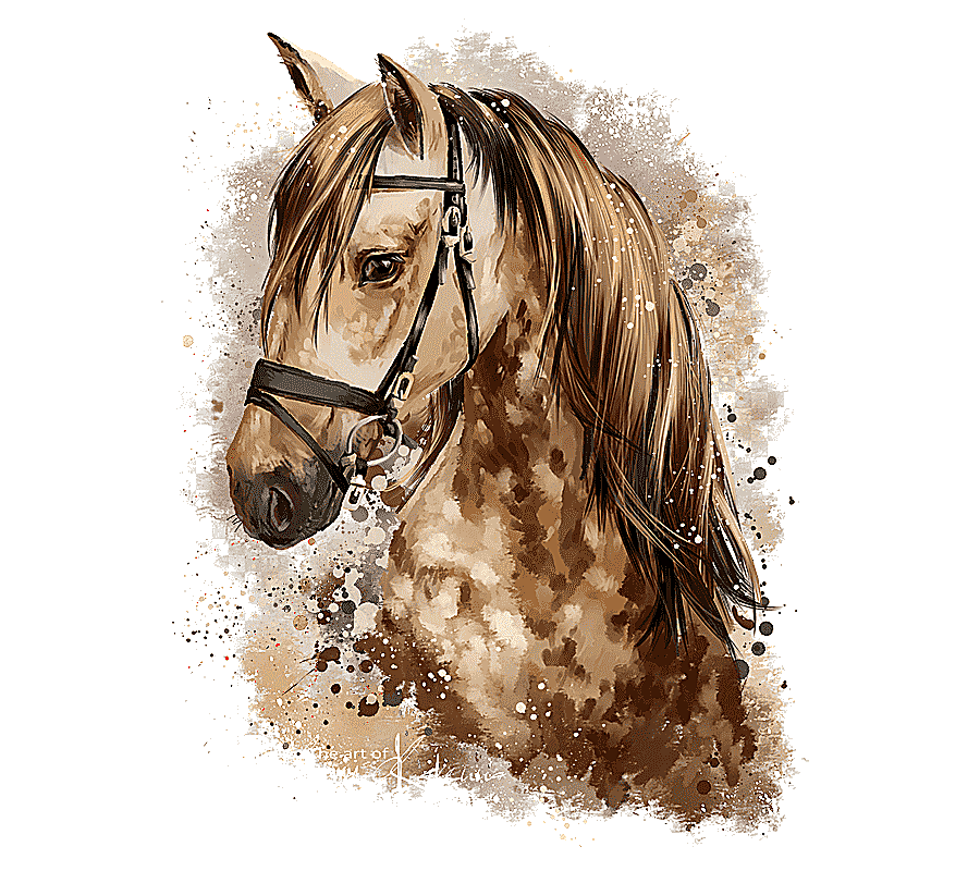 png clipart closeup of brown and beige horse head painting horse pony watercolor painting