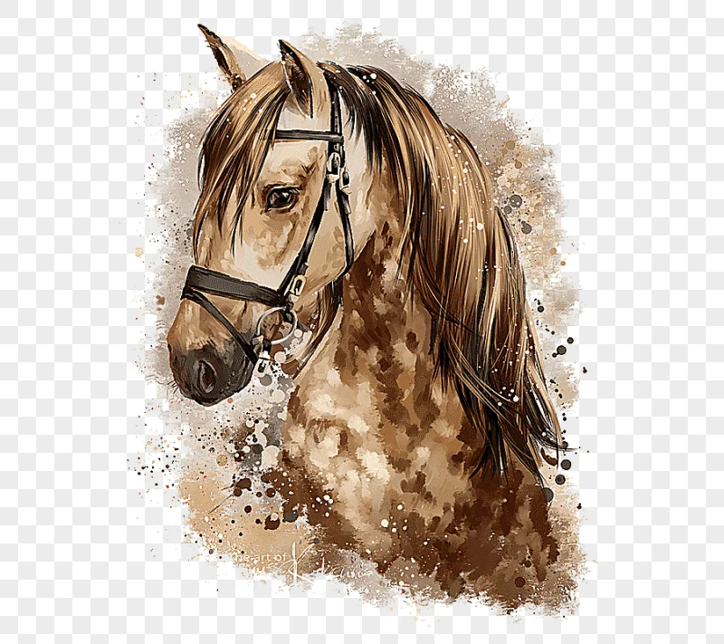 png clipart closeup of brown and beige horse head painting horse pony watercolor painting