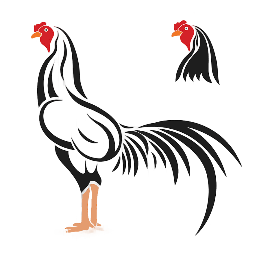 png clipart cockfight rooster illustration black chicken black hair animals