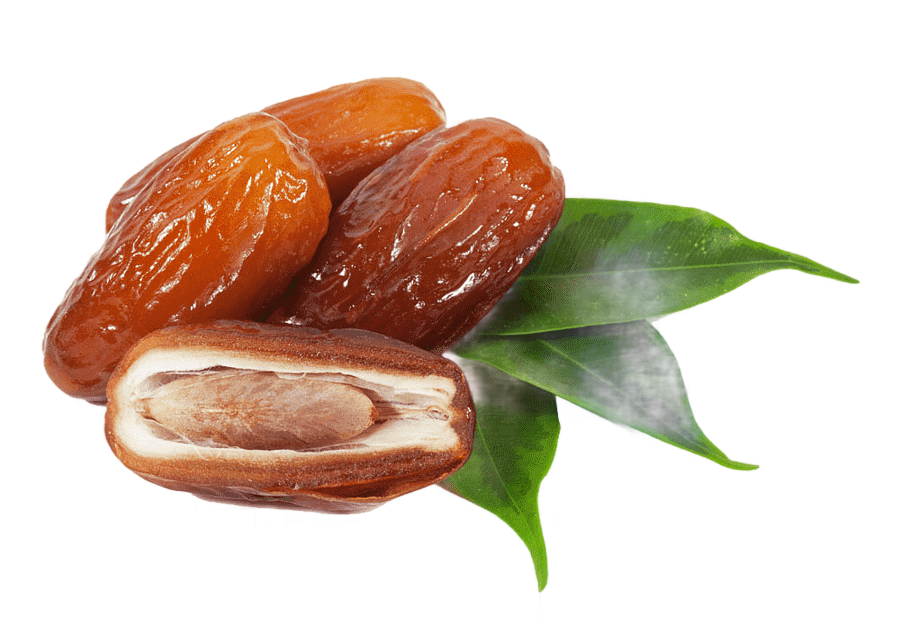 png clipart date palm candied sweet miscellaneous natural foods