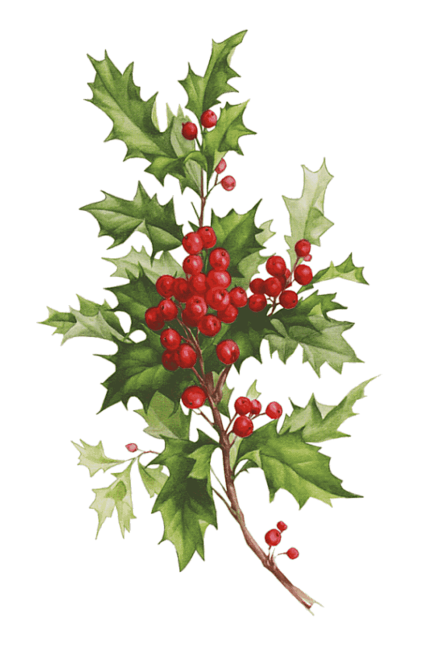 png clipart desktop christmas card santa claus christmas holidays branch