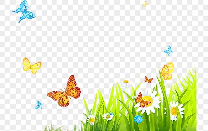 png clipart desktop easter drawing others brush footed butterfly photography