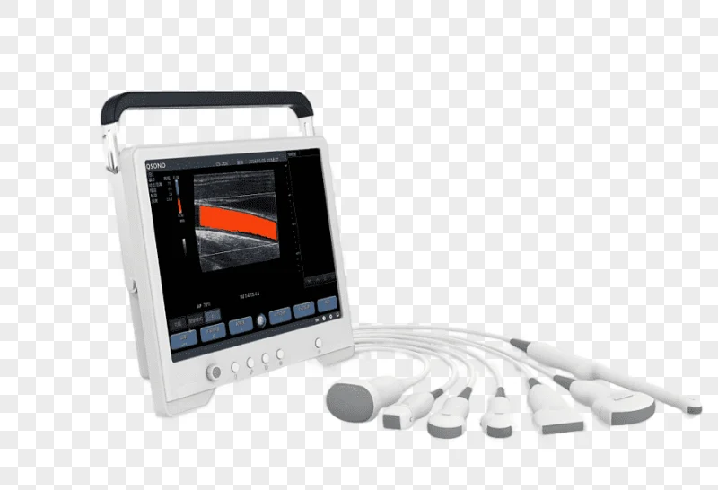 png clipart dog ultrasonography doppler echocardiography medical imaging ultrasound dog el