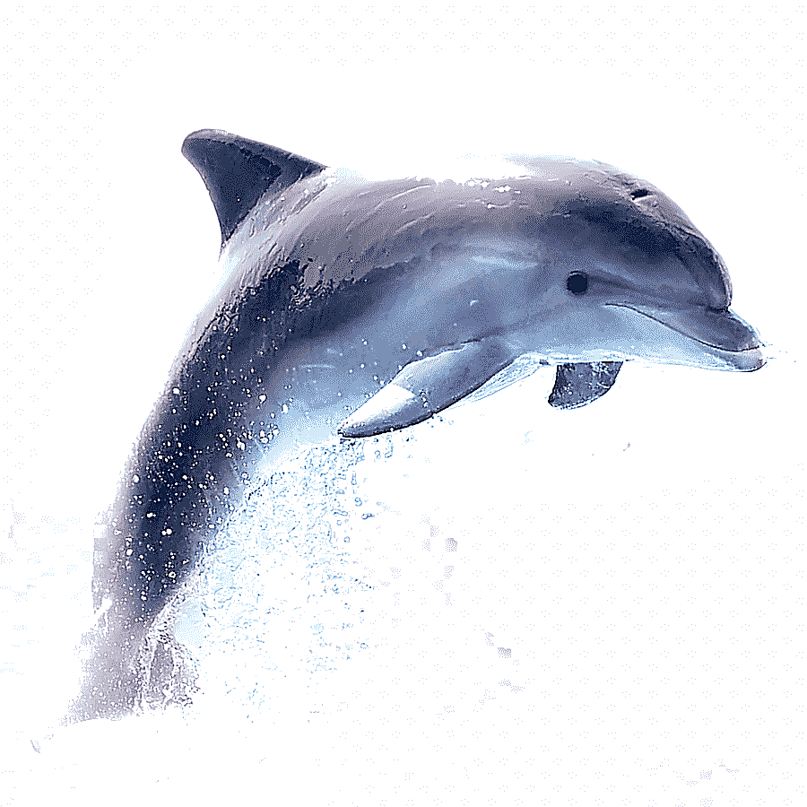 png clipart dolphin samsung galaxy a3 2017 wireless speaker kiss blue marine mammal