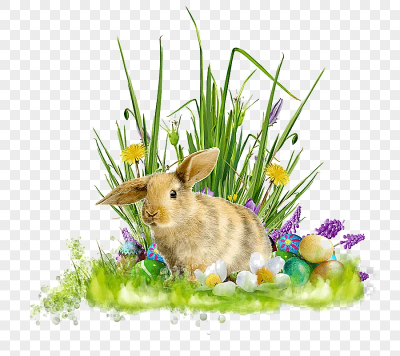 png clipart domestic rabbit easter bunny holiday easter holidays text