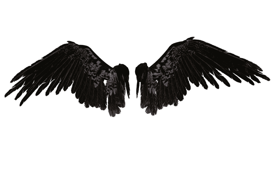 png clipart drawing chicken angel wings chicken meat bing