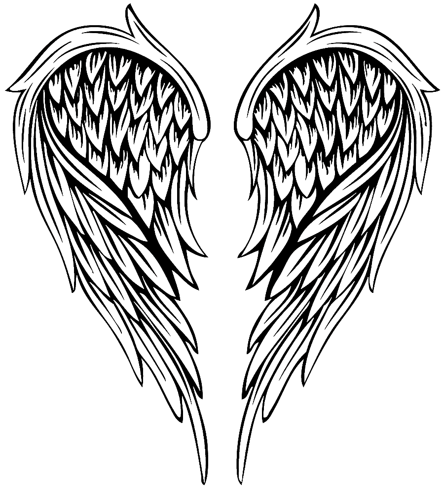 png clipart drawing illustration painted feather angel wings illustration of wings love wa