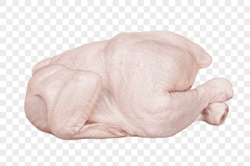 png clipart dressed chicken chicken meat buffalo wing chicken leg raw foodism chicken meat