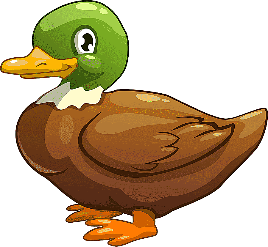 png clipart duck animated cartoon birds comics child