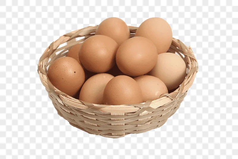 png clipart duck chicken egg in the basket breakfast egg food chicken