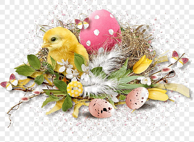png clipart easter blog graphy bird easter frame holidays photography