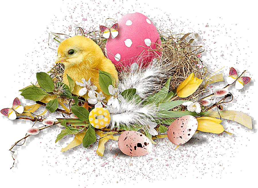 png clipart easter blog graphy bird easter frame holidays photography