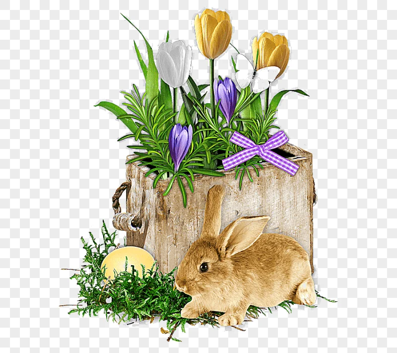 png clipart easter bunny carnival of venice easter egg christmas ester holidays hare