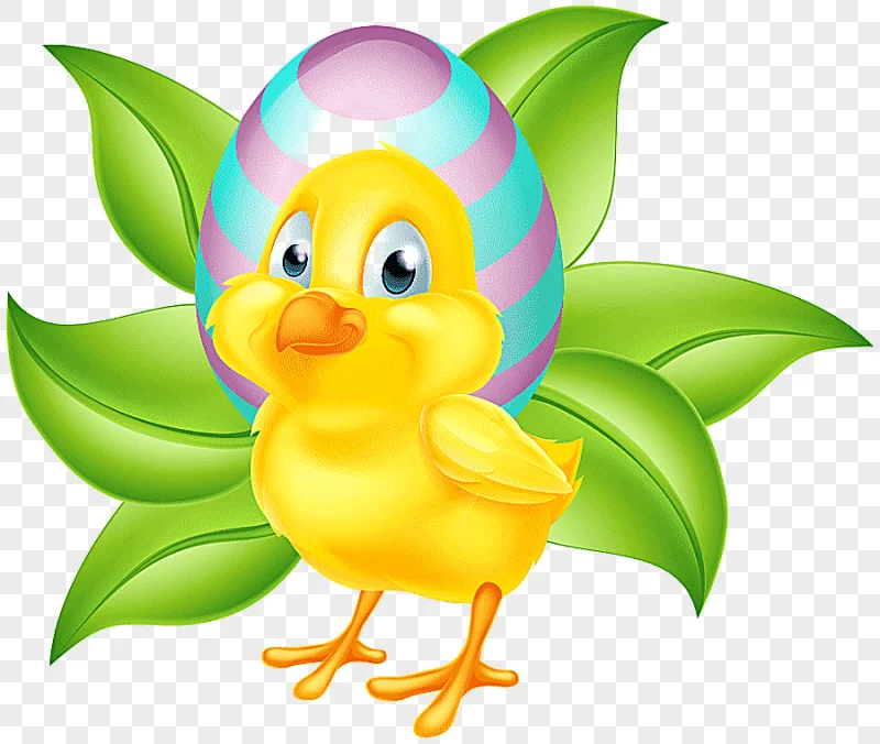 png clipart easter bunny chicken easter chick vertebrate computer wallpaper