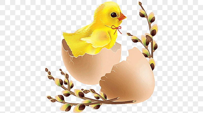 png clipart easter bunny chicken easter egg easter child holidays