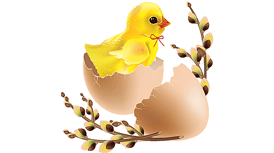 png clipart easter bunny chicken easter egg easter child holidays