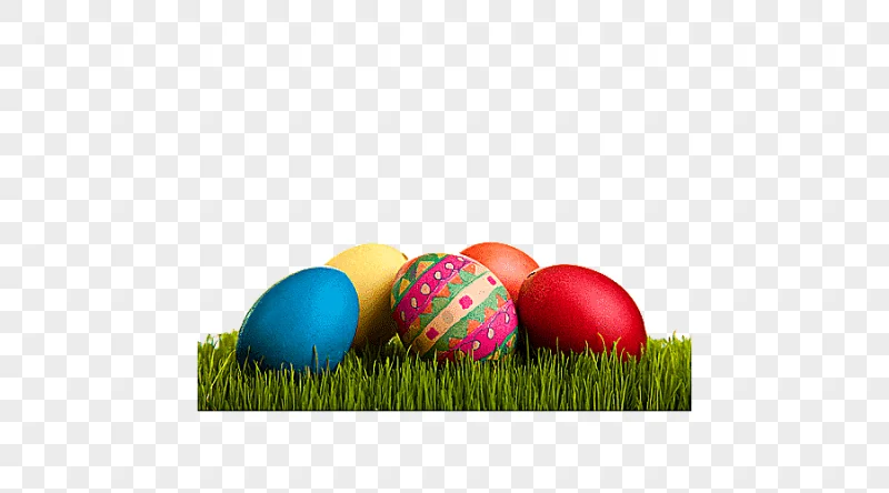 png clipart easter bunny chicken easter egg grassy egg child painted