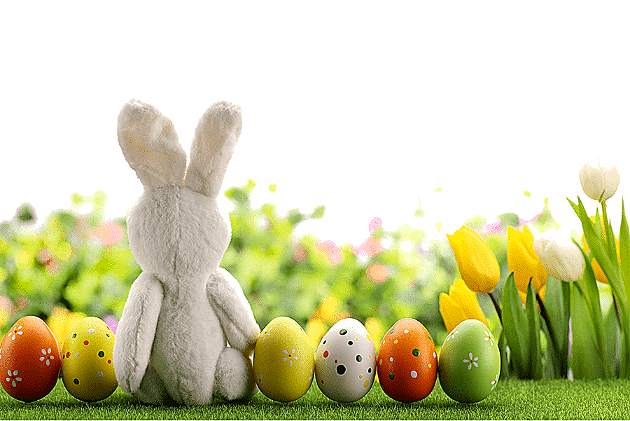 png clipart easter bunny easter egg beautiful easter egg child food