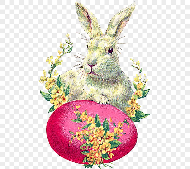 png clipart easter bunny easter postcard rabbit easter egg easter love holidays