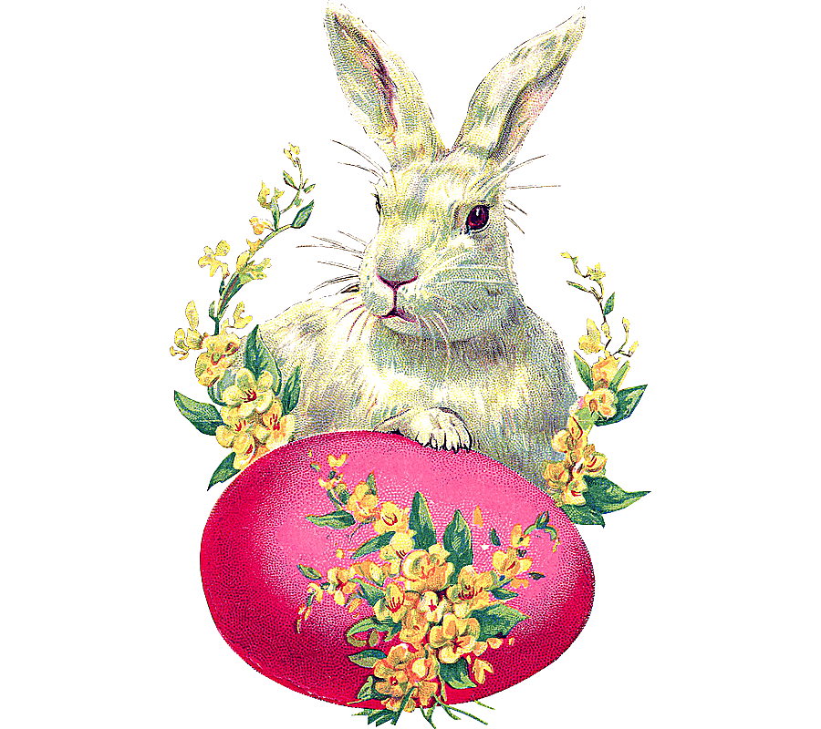 png clipart easter bunny easter postcard rabbit easter egg easter love holidays